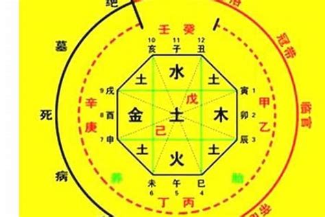 出生時辰八字|生辰八字算命、五行喜用神查询（免费测算）